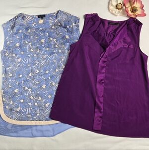 The Limited Bundle Of Two Blue And Purple Blouses, Size Small